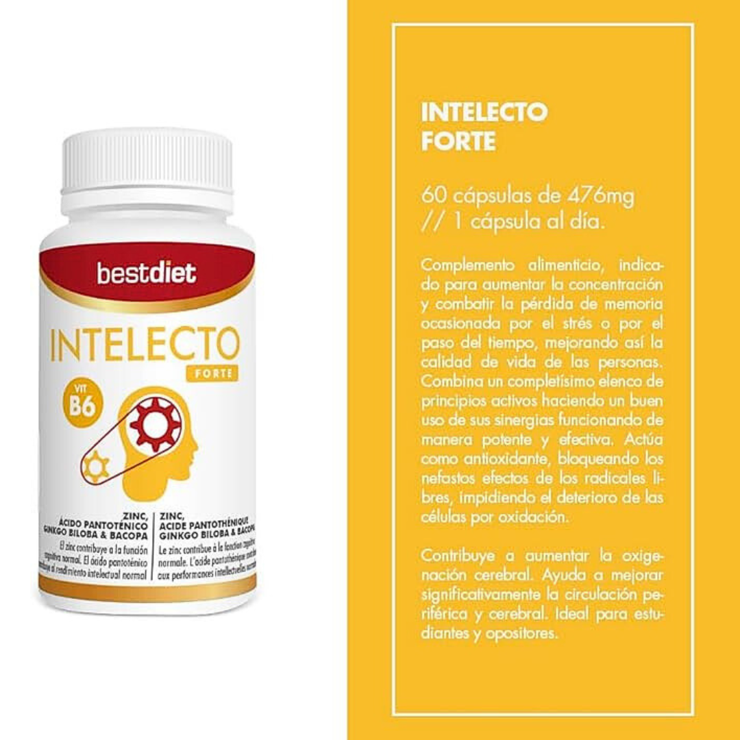 SUP Intelecto Forte