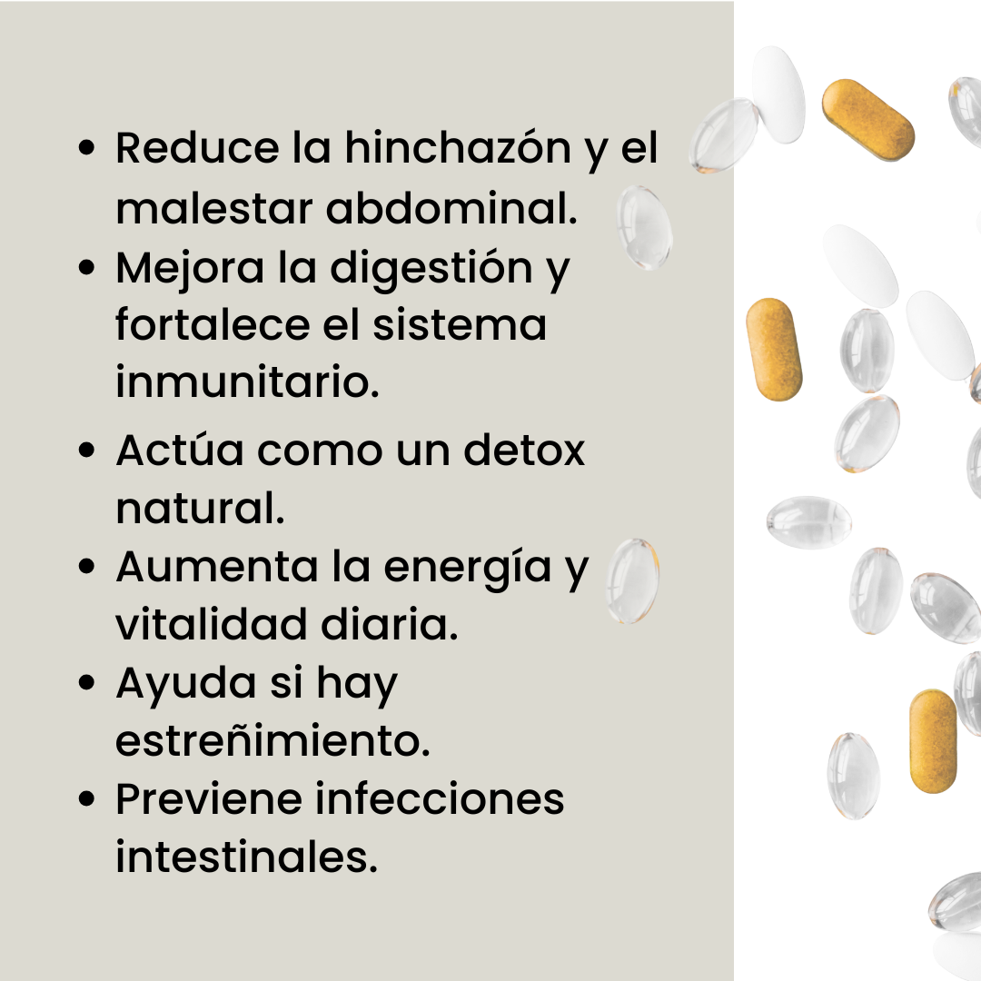 Probióticos Salud Digestiva e Inmunidad